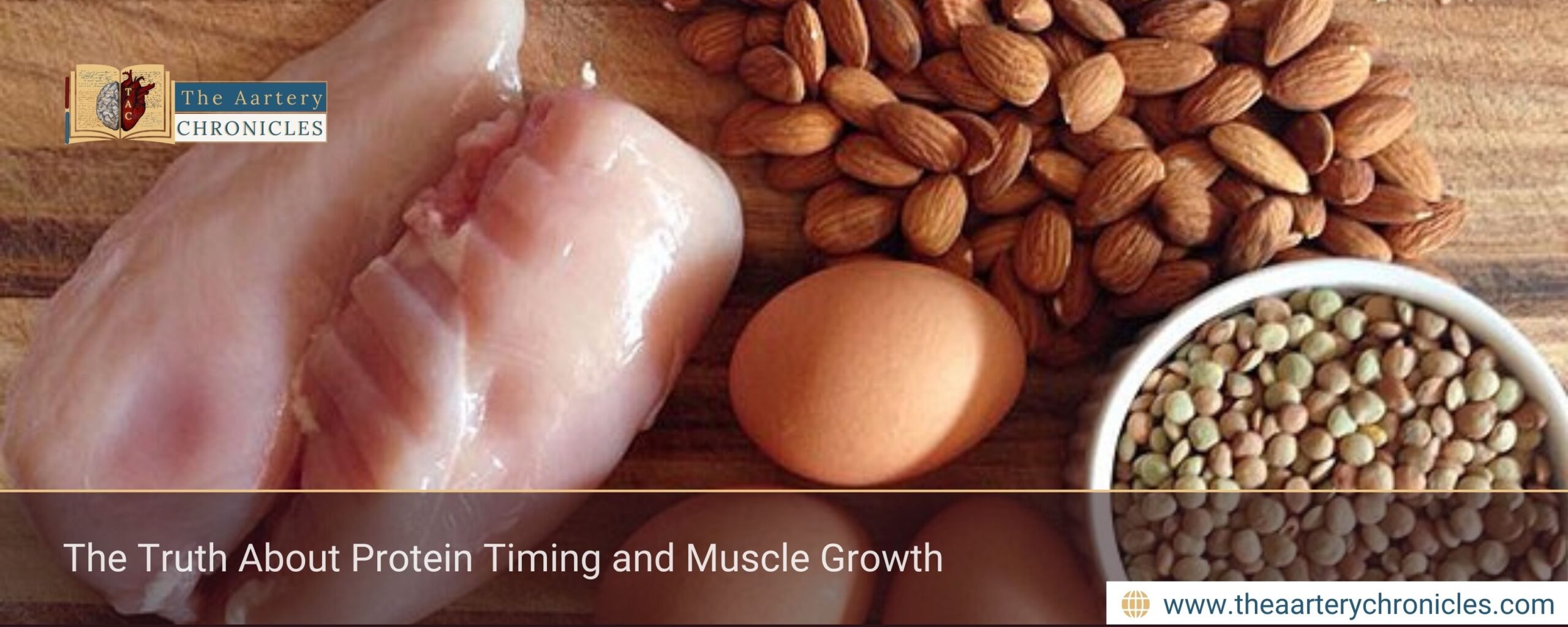 The Truth About Protein Timing and Muscle Growth