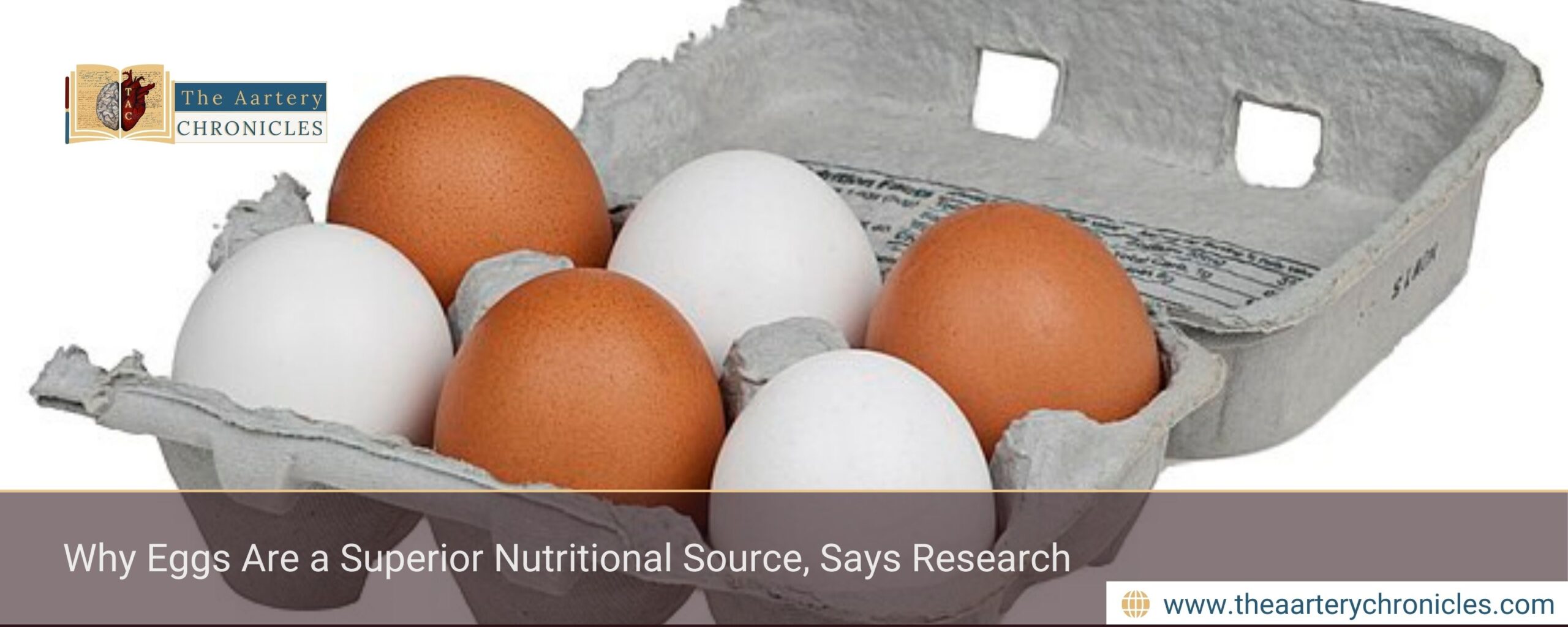 Why Eggs Are a Superior Nutritional Source, Says Research