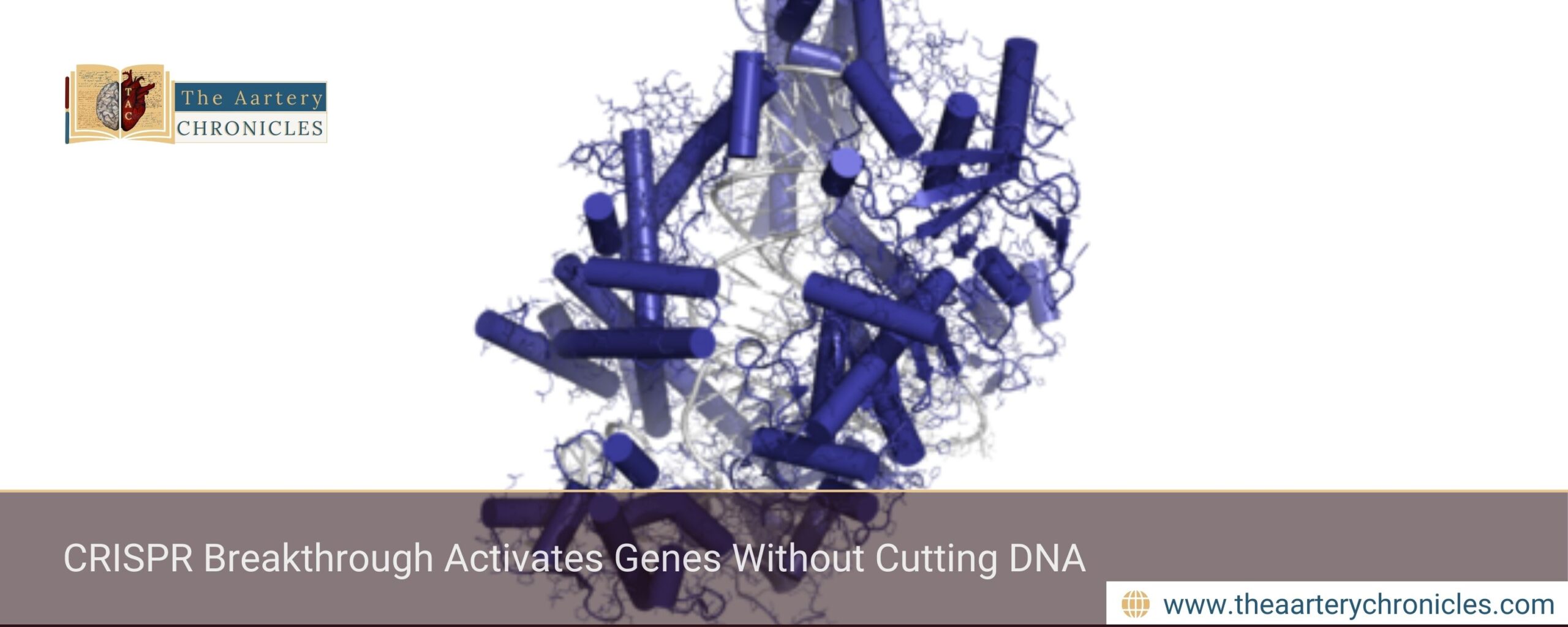 crispr-breakthrough-activates-genes-without-cutting-dna-the-aartery-chronicles-tac