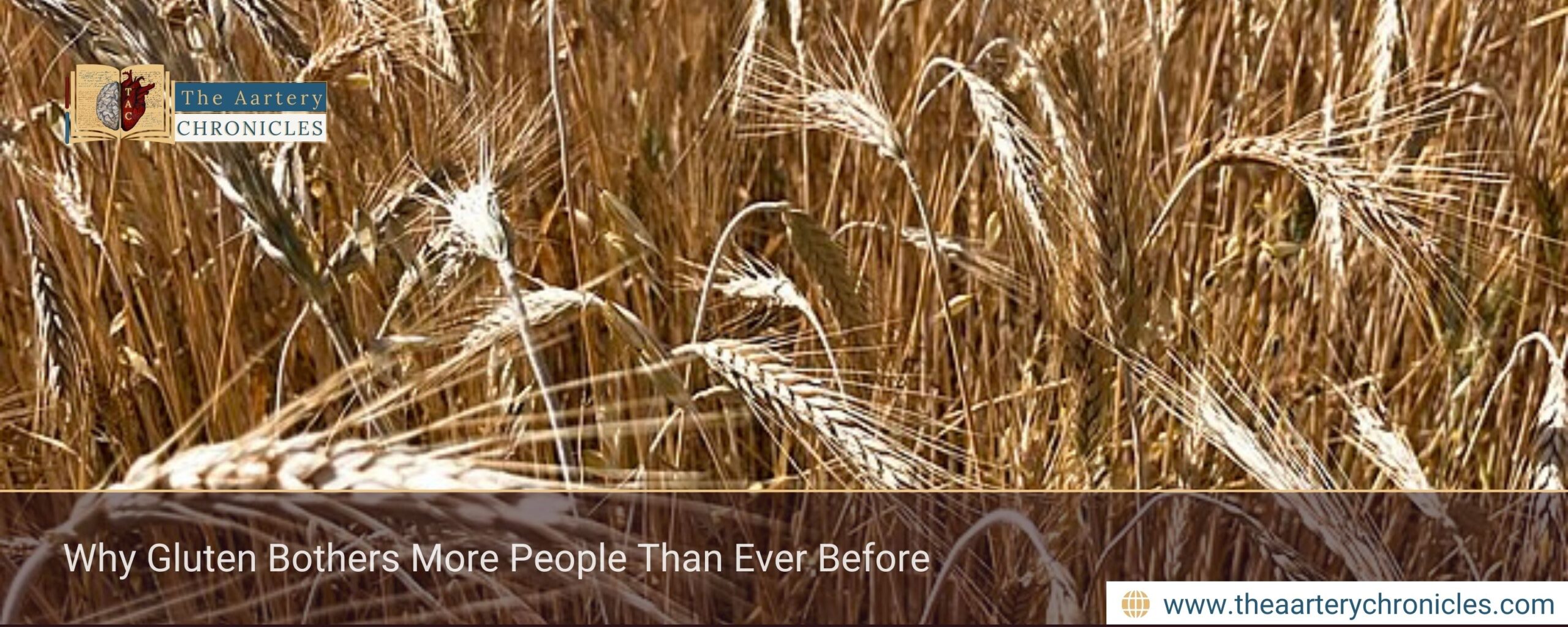 Why Gluten Bothers More People Than Ever Before