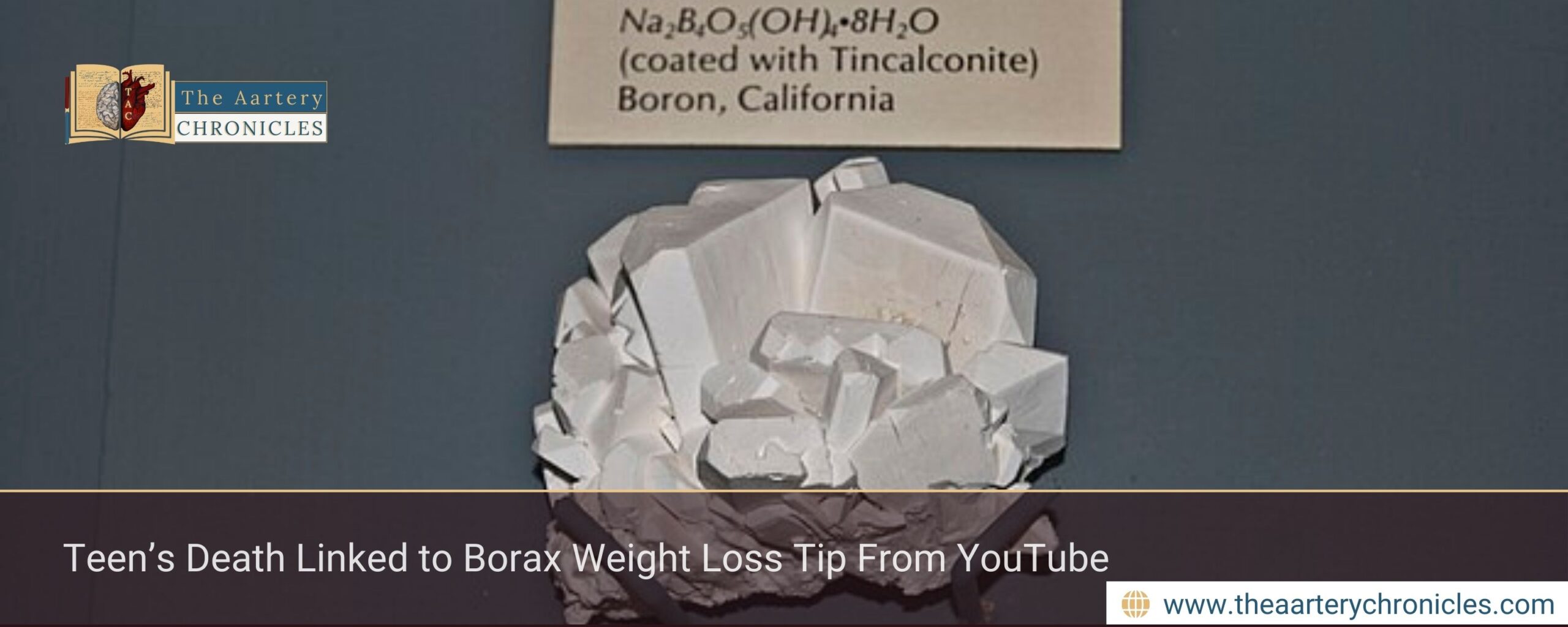 Teen’s Death Linked to Borax Weight Loss Tip From YouTube