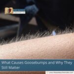 What Causes Goosebumps and Why They Still Matter