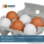 Why Eggs Are a Superior Nutritional Source, Says Research