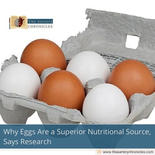 Why Eggs Are a Superior Nutritional Source, Says Research