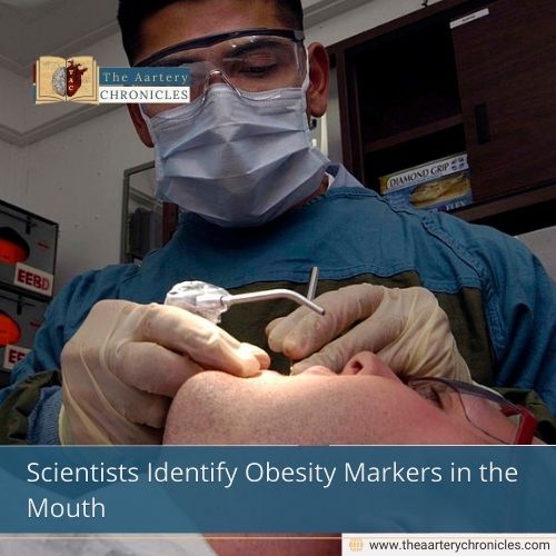 Scientists Identify Obesity Markers in the Mouth