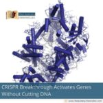 crispr-breakthrough-activates-genes-without-cutting-dna-the-aartery-chronicles-tac