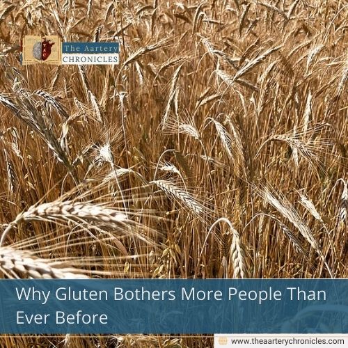 Why Gluten Bothers More People Than Ever Before