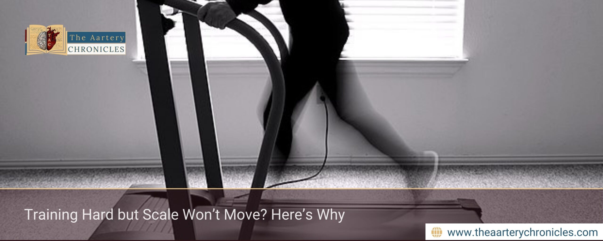 Training Hard but Scale Won’t Move? Here’s Why