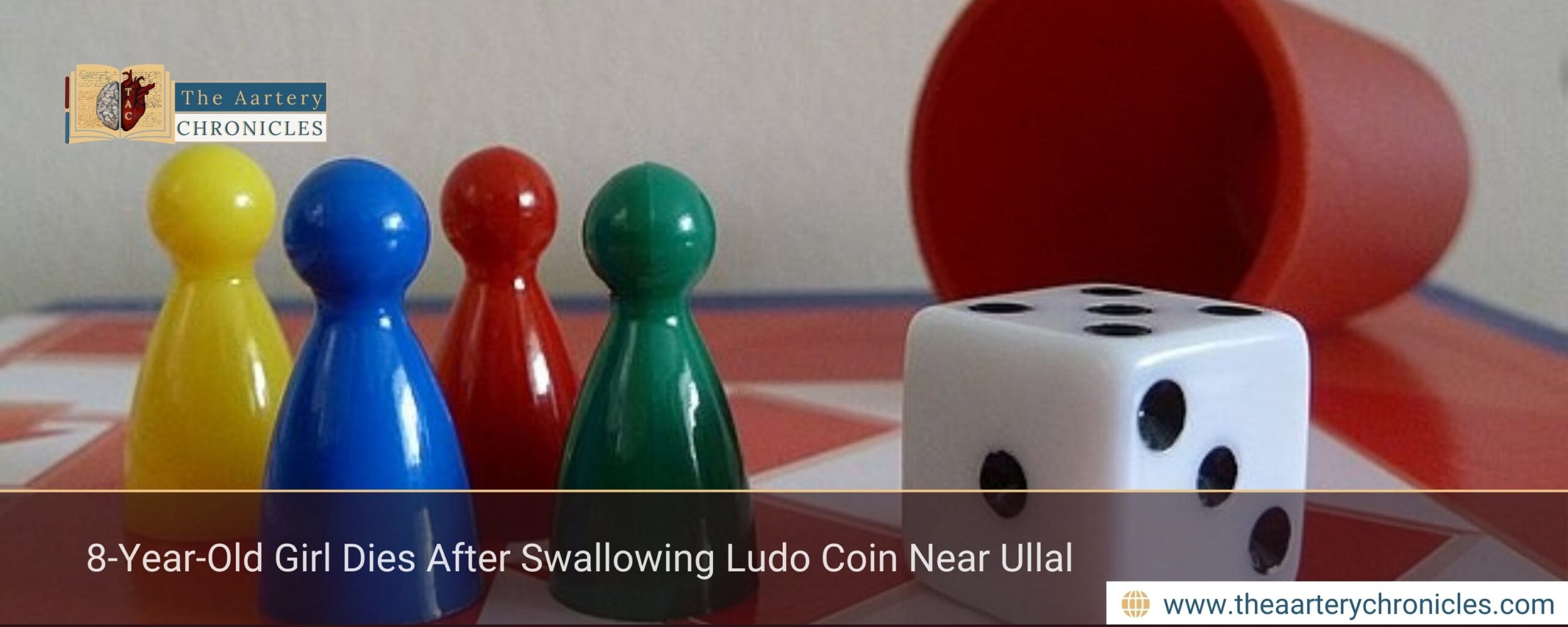 8-Year-Old Girl Dies After Swallowing Ludo Coin Near Ullal
