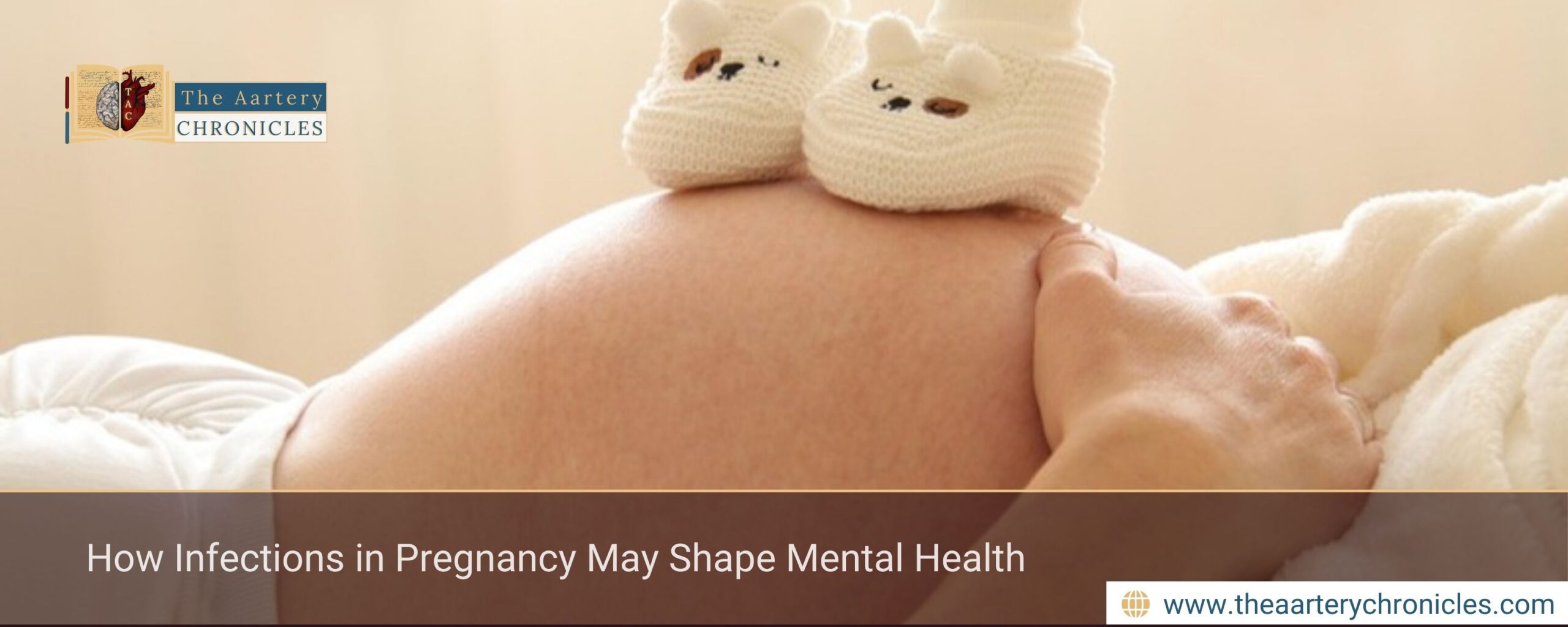 How Infections in Pregnancy May Shape Mental Health