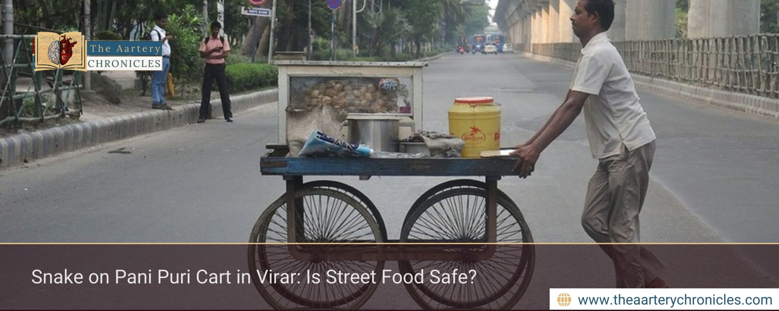 Snake on Pani Puri Cart in Virar: Is Street Food Safe?