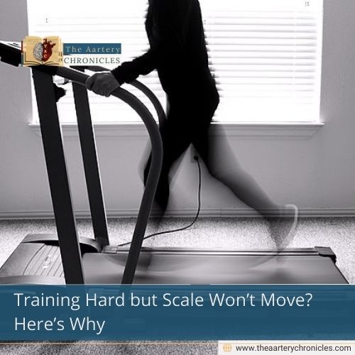 Training Hard but Scale Won’t Move? Here’s Why