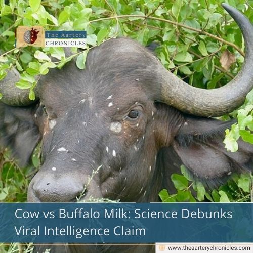 Cow vs Buffalo Milk: Science Debunks Viral Intelligence Claim