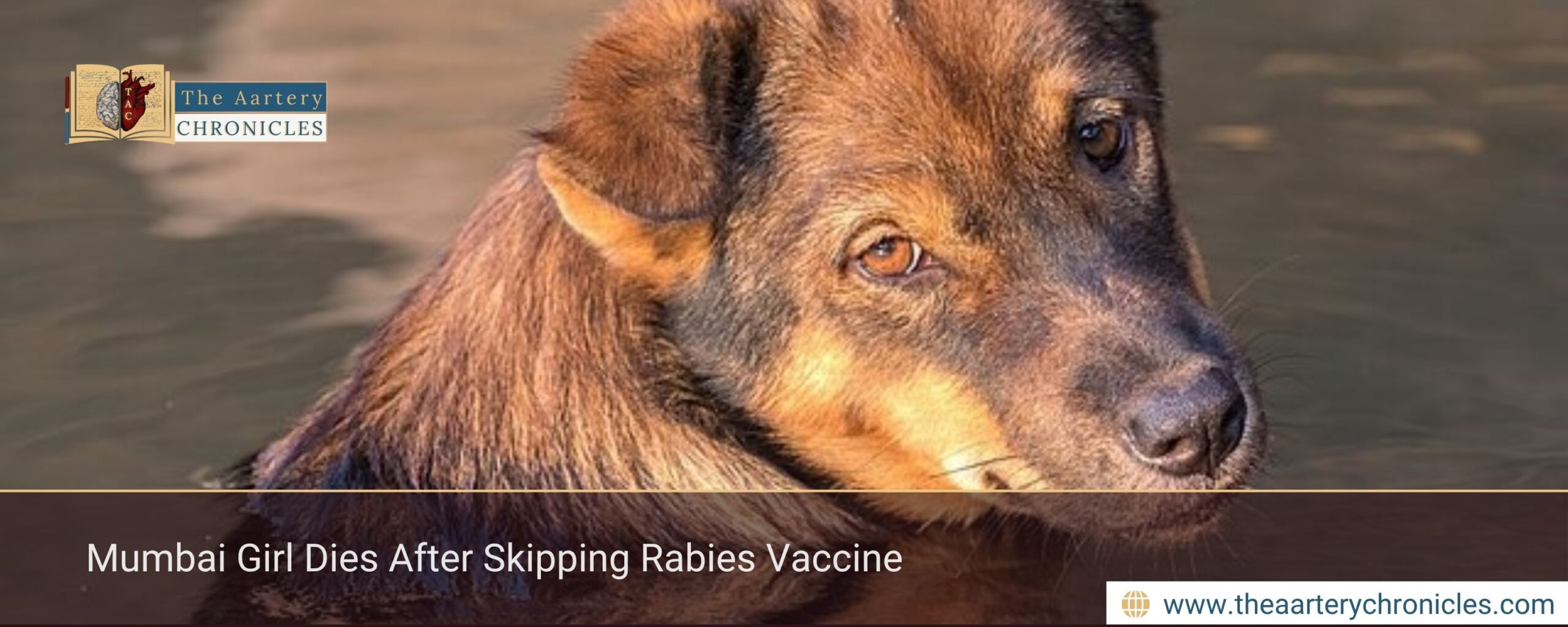Mumbai Girl Dies After Skipping Rabies Vaccine