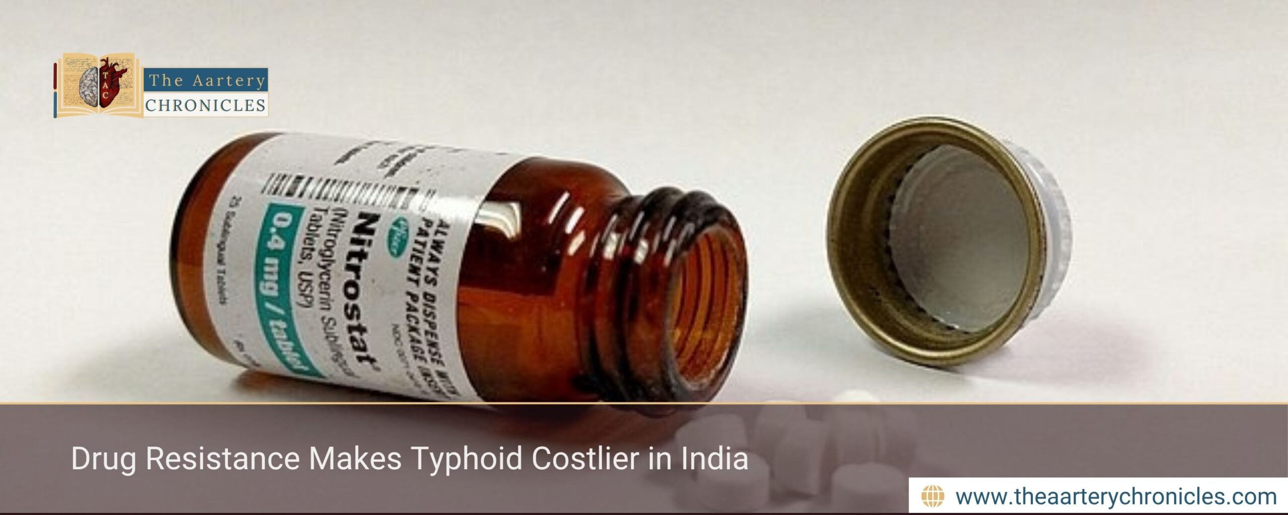 Drug Resistance Makes Typhoid Costlier in India