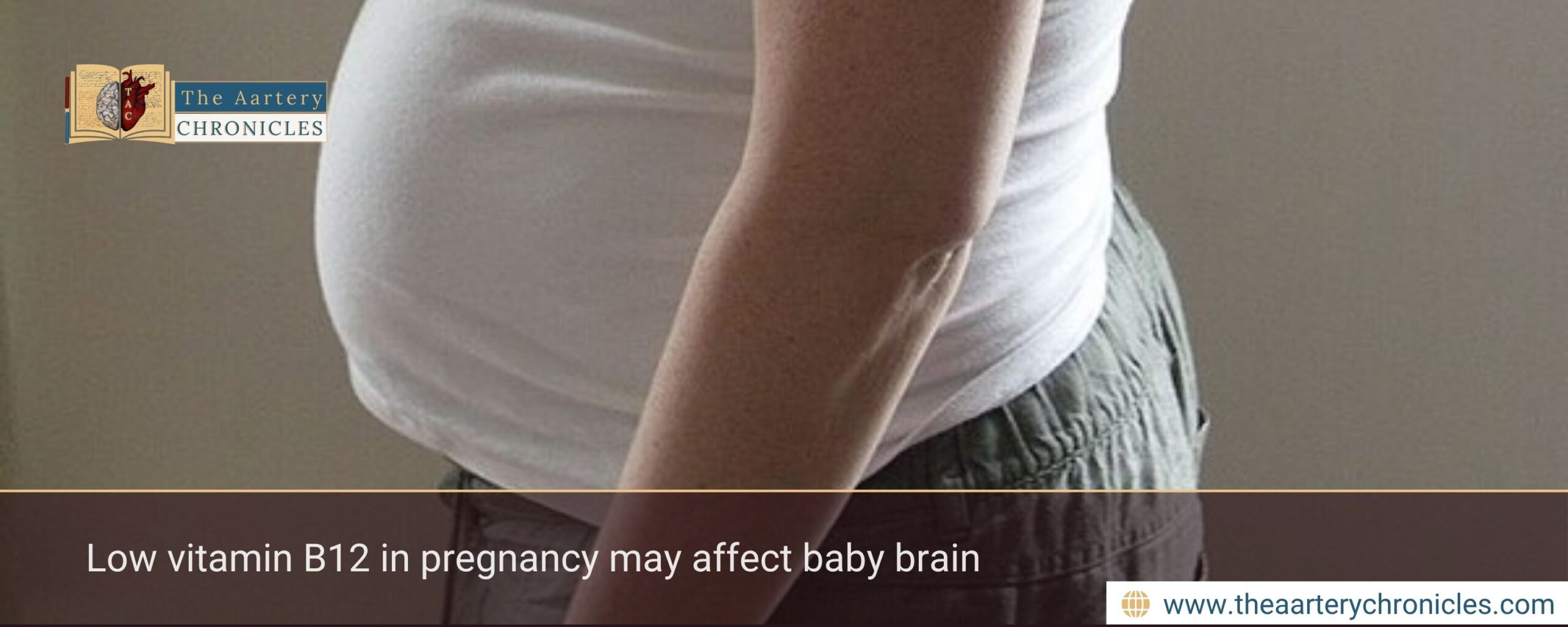 Low vitamin B12 in pregnancy may affect baby brain