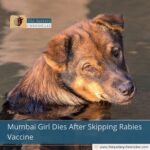 Mumbai Girl Dies After Skipping Rabies Vaccine