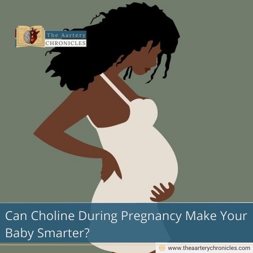 Can Choline During Pregnancy Make Your Baby Smarter?