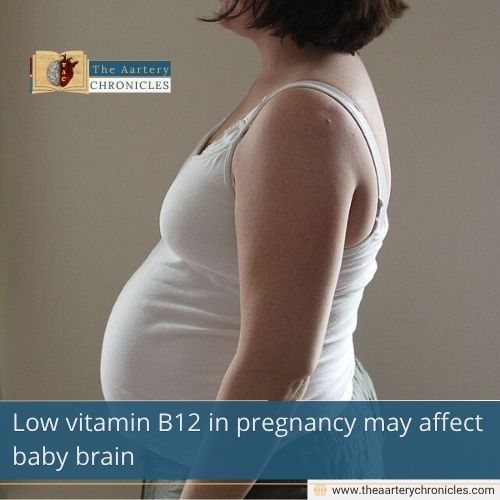 Low vitamin B12 in pregnancy may affect baby brain
