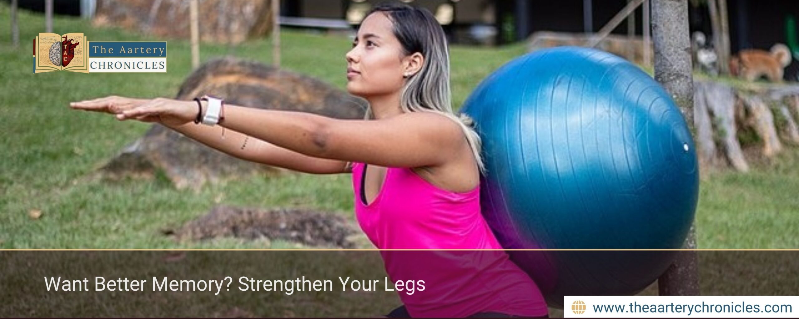 Want Better Memory? Strengthen Your Legs