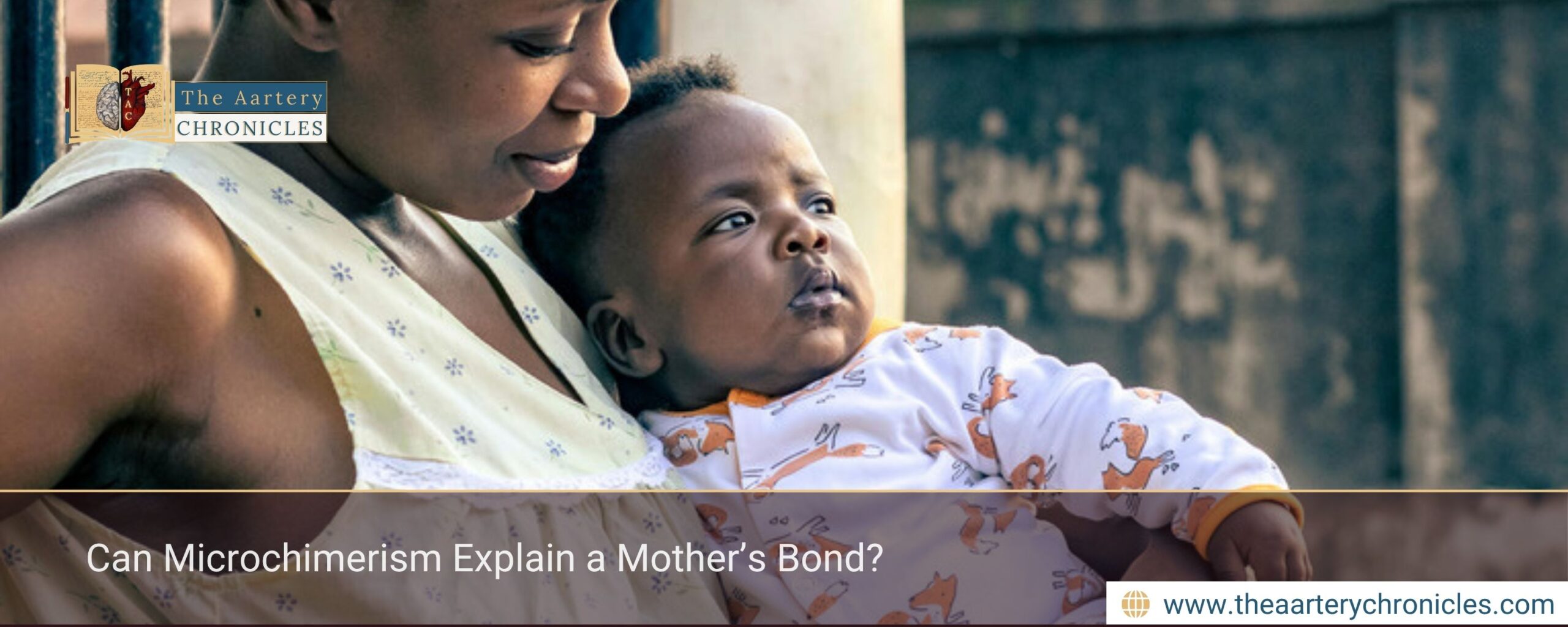 Can Microchimerism Explain a Mother’s Bond?