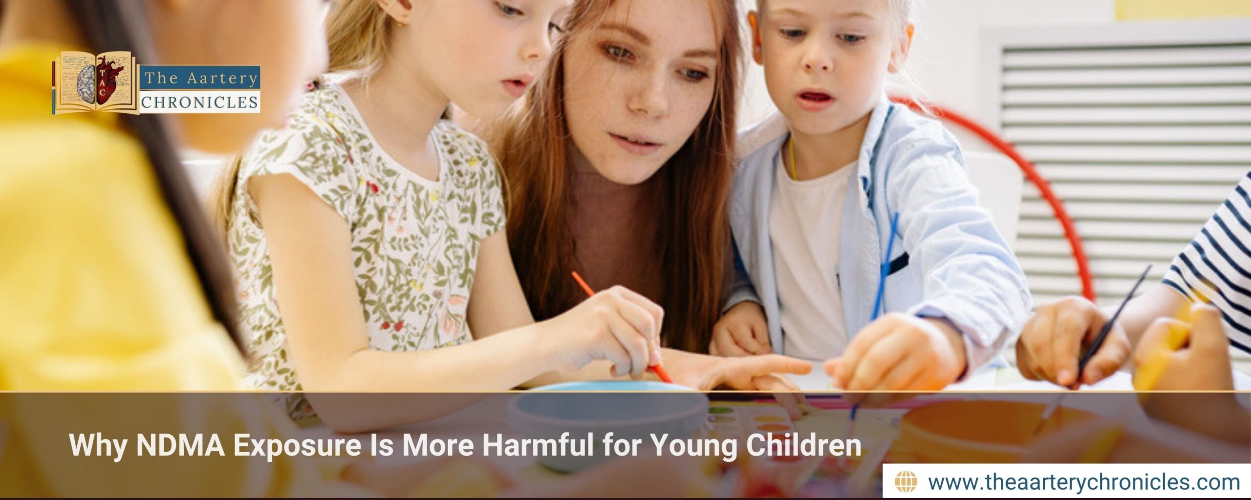 Why NDMA Exposure Is More Harmful for Young Children