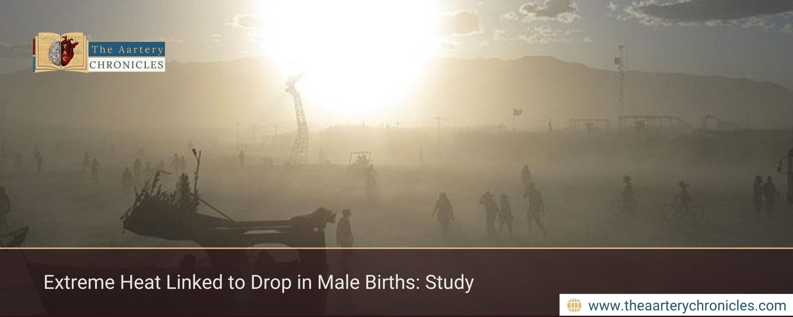 Extreme Heat Linked to Drop in Male Births: Study