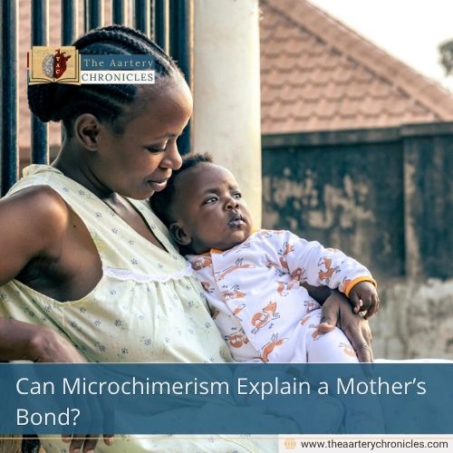 Can Microchimerism Explain a Mother’s Bond?