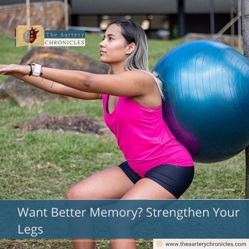 Want Better Memory? Strengthen Your Legs