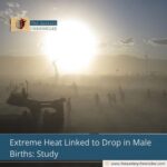 Extreme Heat Linked to Drop in Male Births: Study