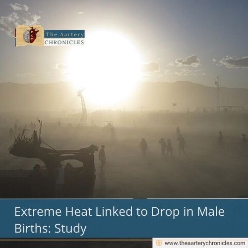 Extreme Heat Linked to Drop in Male Births: Study