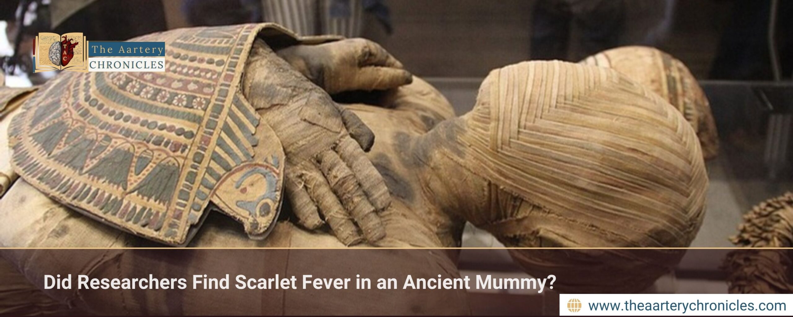 scarlet fever, scarlet fever in the Americas, origins of scarlet fever, mummified skull in Bolivia, ancient tooth discovery, naturally preserved mummy, Streptococcus pyogenes, ancient DNA, infectious diseases, Indigenous populations, colonial era diseases, bacterial illness, disease causing genes, ancient bacterial strain, Christopher Columbus, radiocarbon dating, ancient pathogen research, Bolivia, Andean region, Americas, Indigenous communities, Bering land bridge, Siberia, Alaska, bacterial genome, virulence genes, throat infections, human pathogen, antibiotic resistance, infectious disease outbreaks, evolution of harmful bacteria, Nature Communications study, pre Columbian infection evidence, medical history of the Americas, scarlet fever symptoms, genetic analysis of ancient bacteria, reconstructed genetic information, ancient infection evidence, modern bacterial strains, disease evolution