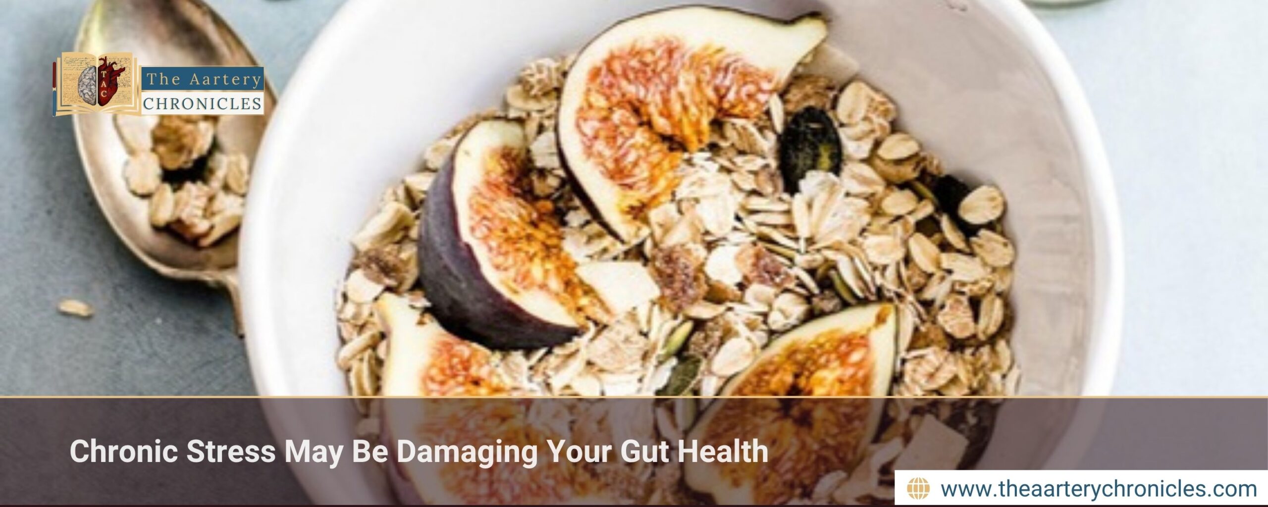 Chronic Stress May Be Damaging Your Gut Health