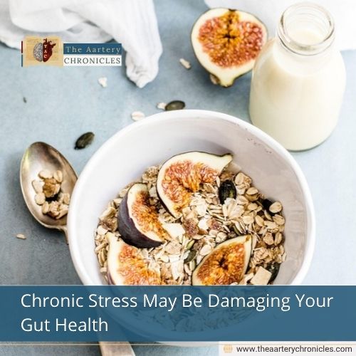 Chronic Stress May Be Damaging Your Gut Health